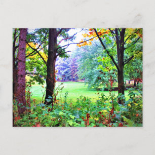Grönt Space Träd Nature Misty Meadow Vykort