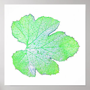 Grönt Squash Löv minimalism Square Wall Poster