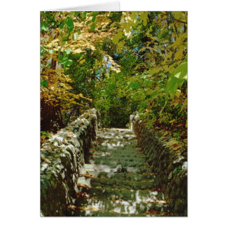 Grönt Stairway Hälsningskort