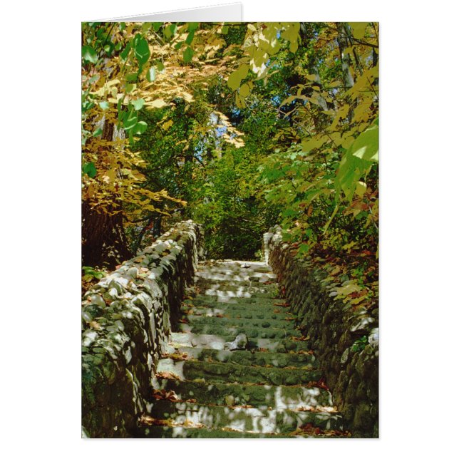 Grönt Stairway Hälsningskort (Framsidan)
