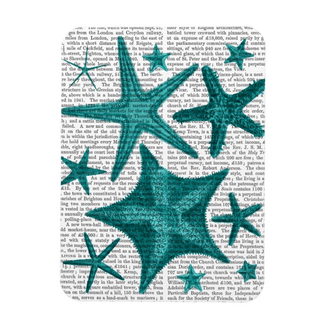 Grönt Starfish Collection 2 Magnet (Vertikal)