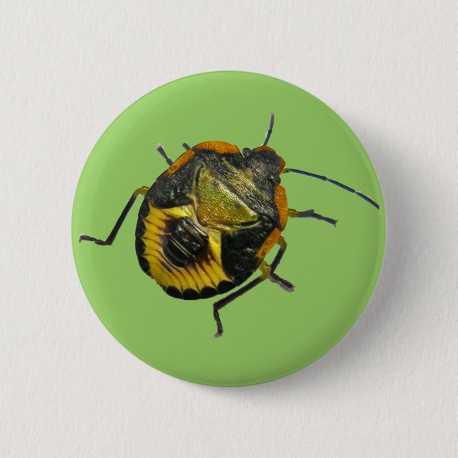 Grönt Stink Kryp Nymph Koordinerar objekt Knapp (Framsida)