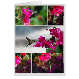 Grönt-styrd Carib Hummingbird Collage Hälsningskort