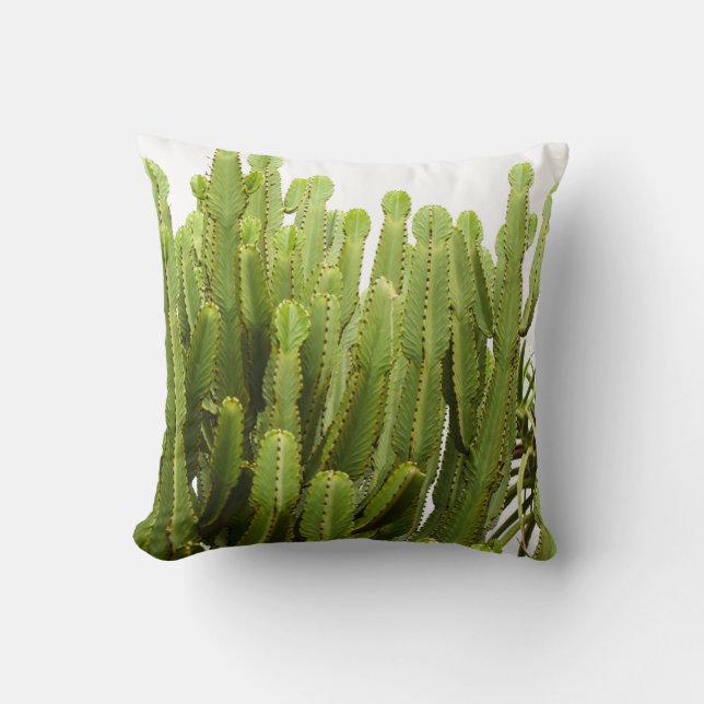 Grönt Succulants Plants Dekorativ kudde Cushion (Framsida)