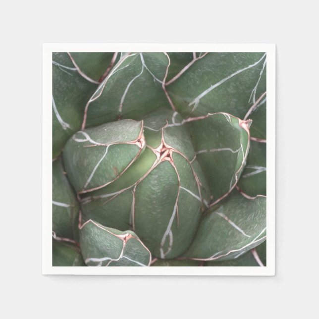 Grönt Succulary Plant Photo Cocktail Papper Napkin Pappersservett (Framsidan)