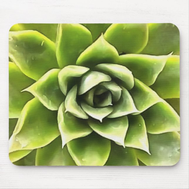 Grönt Succulated Close Cacti Art Musmatta (Framsidan)