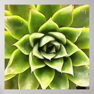 Grönt Succulated Close Cacti Art Poster