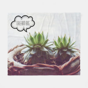 Grönt Succulent Aeonium Dream Big Fleecefilt