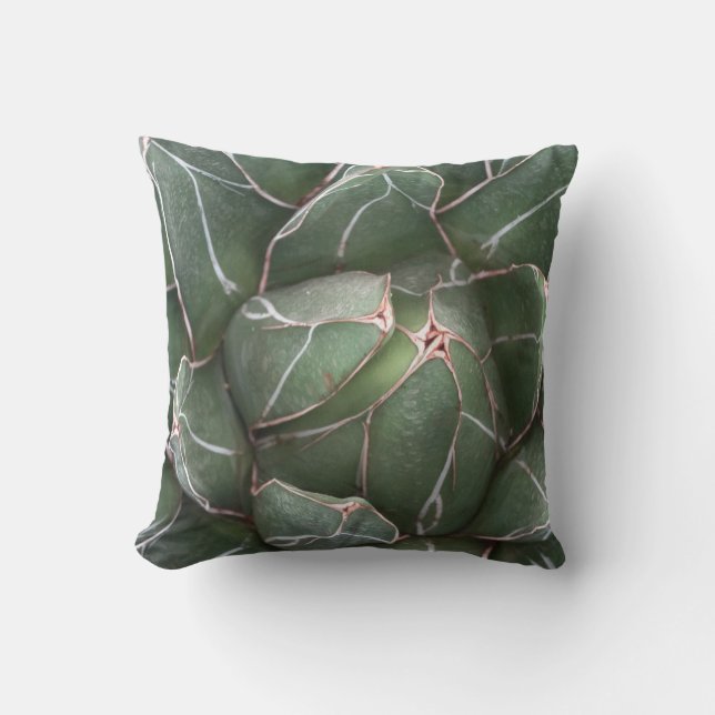 Grönt Succulent Plant Throw Cushion 41 cm x 41 cm Kudde (Framsida)