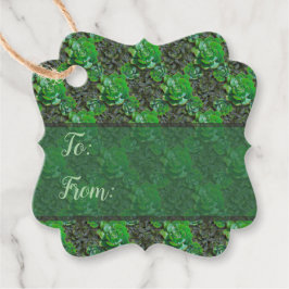 Grönt Succulents Lattice Mönster Gift Märkres Gåvor Etiketter