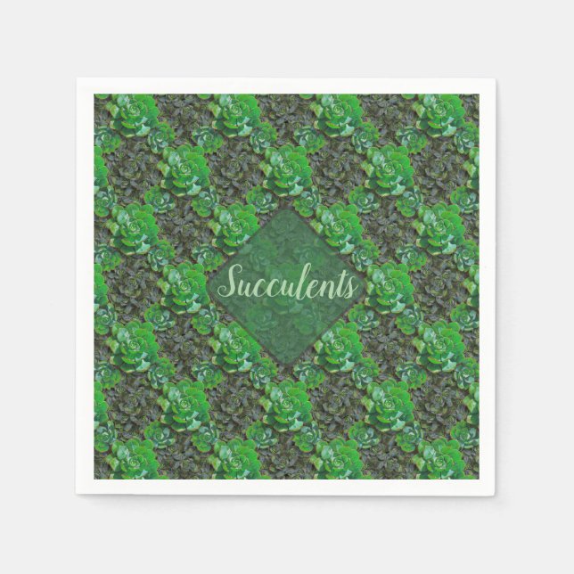 Grönt Succulents Lattice Mönster Papper Napkins Pappersservett (Framsidan)