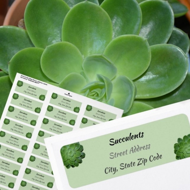 Grönt Succulents Returadress för fotografi Returadress Etikett (Skapare uppladdad)