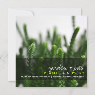 Grönt Succules Grass Plant Foto Modern Party Inbjudningar