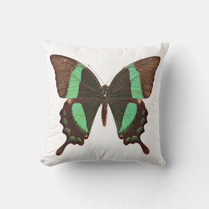 Grönt Swallowtail Butterfly Kudde