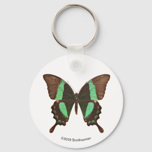 Grönt Swallowtail Butterfly Nyckelring