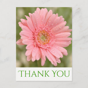Grönt Tack Rosa Gerbera Daisy Flower Vykort