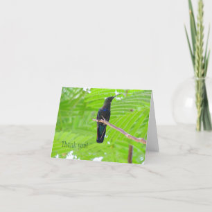 Grönt Täckt Carib Hummingbird-anteckningskort Tack Kort