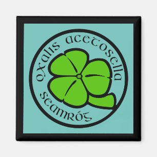 Grönt Teal Shamrock Saint patrick's day Blommigt A Magnet
