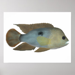 Grönt Terror Poster