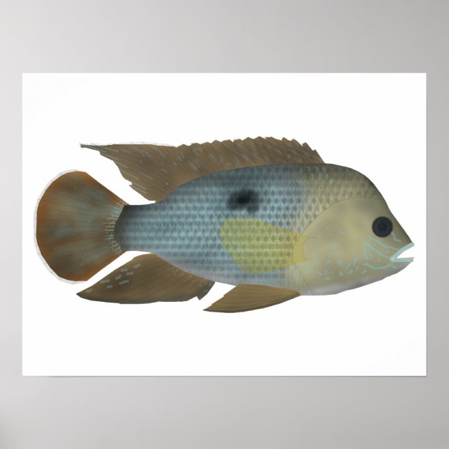 Grönt Terror Poster (Framsidan)