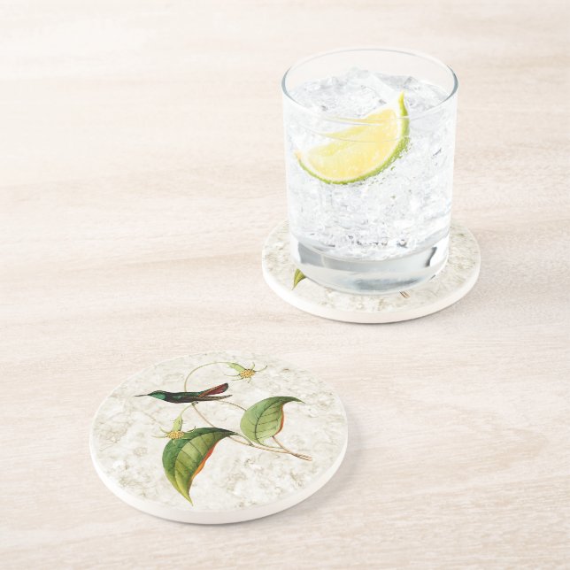 Grönt Throated Mango Hummingbird Sandstone Underlä Underlägg Sandsten (Sidan)