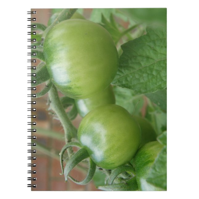 Grönt Tomates anteckningsbok Med Spiral (Framsidan)