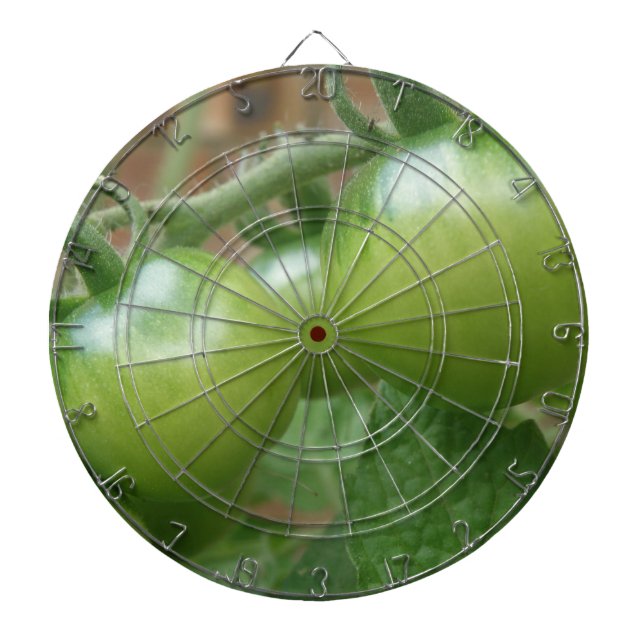 Grönt Tomates Dart Board Darttavla (Framsidan)