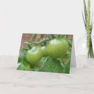Grönt Tomates-gratulationskort Kort