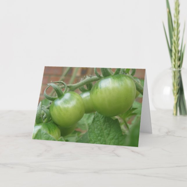 Grönt Tomates-gratulationskort Kort (Framsida)