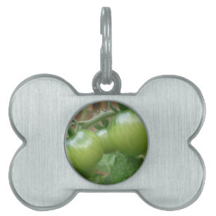 Grönt Tomates Pet Tag ID-bricka Husdjur