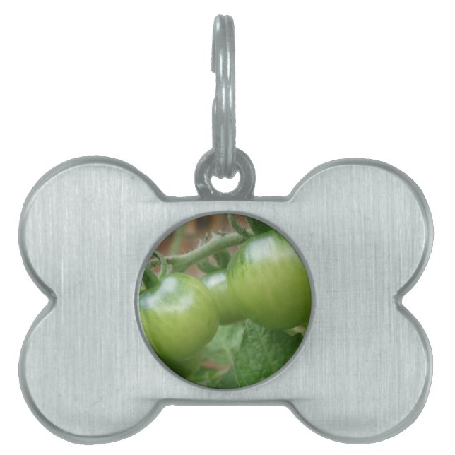 Grönt Tomates Pet Tag ID-bricka Husdjur (Framsidan)