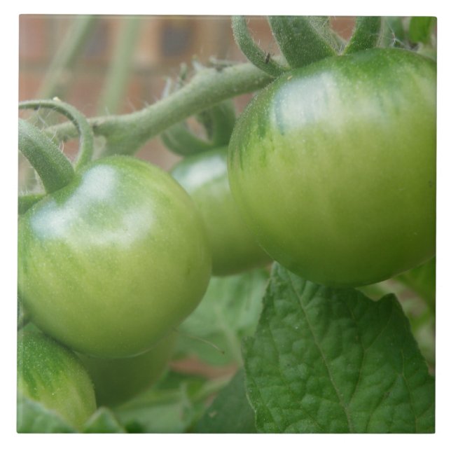 Grönt Tomates Tile Kakelplatta (Framsidan)