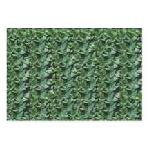 Grönt Tora Lövs Botanical