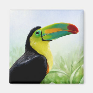 Grönt Toucan (färgfull Tropical Bird Black Gult ) Magnet