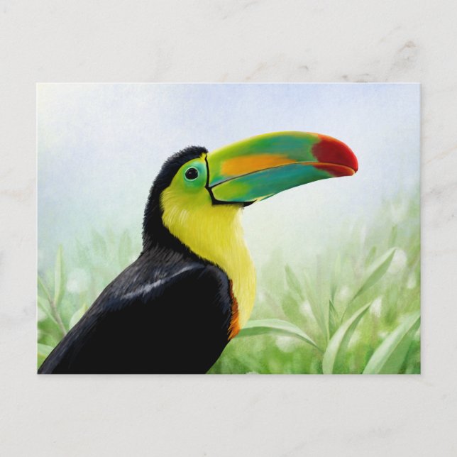Grönt Toucan (färgfull Tropical Bird Black Gult ) Vykort (Framsida)