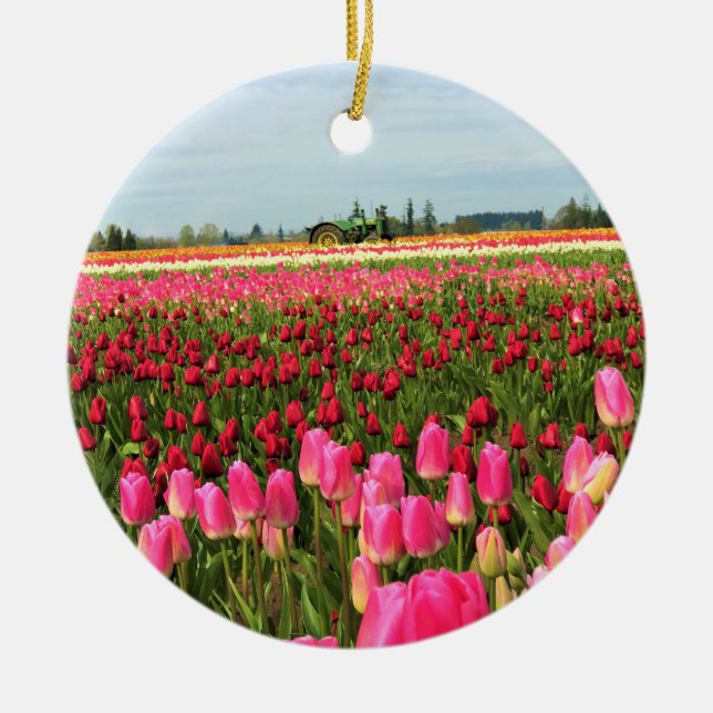 Grönt Tractor in Tulip Fält, Oregon Julgransprydnad Keramik (Framsidan)