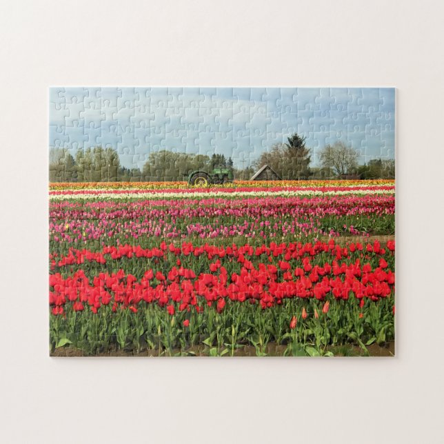 Grönt Tractor in Tulip Fält, Oregon Pussel (Horisontell)