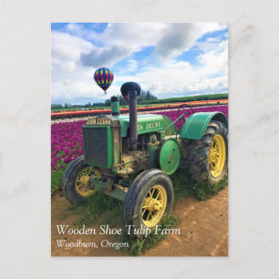 Grönt Tractor in Tulip Fält, Oregon Vykort