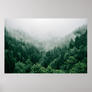 Grönt TRÄD AERIALFOTO Poster