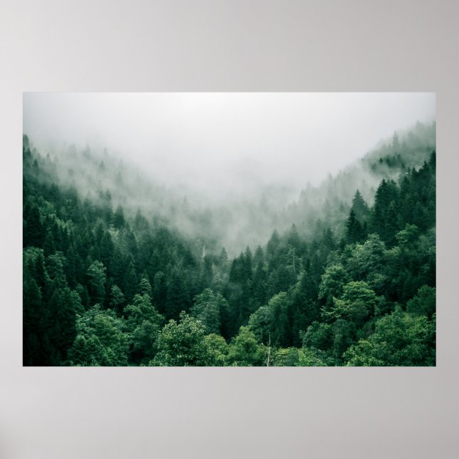 Grönt TRÄD AERIALFOTO Poster (Framsidan)