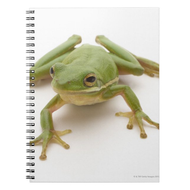 Grönt Träd Frog Anteckningsbok Med Spiral (Framsidan)