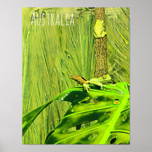 Grönt Träd Frog australisk groda Poster