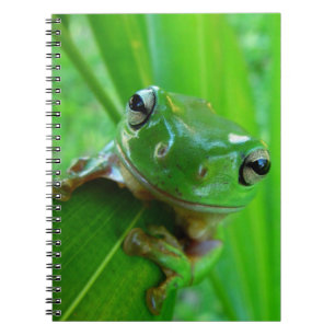 Grönt Träd Frog bärbar dator Anteckningsbok Med Spiral