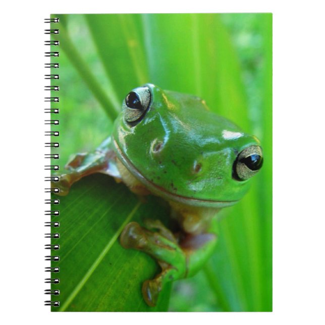 Grönt Träd Frog bärbar dator Anteckningsbok Med Spiral (Framsidan)