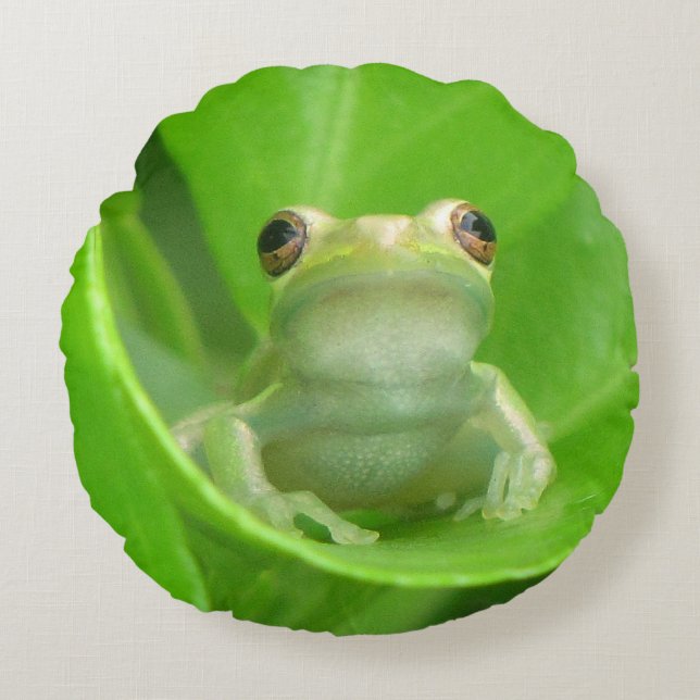 Grönt Träd Frog Dekorativ kudde (Framsidan)