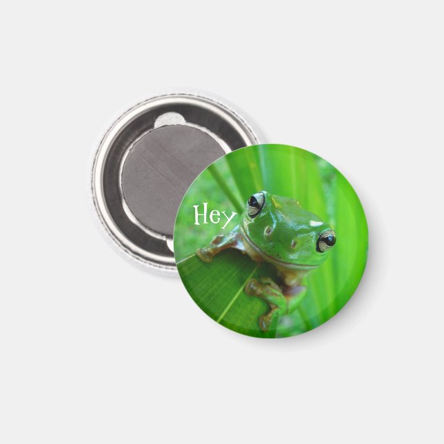 Grönt Träd Frog Magnet (Front/Back)