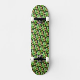 Grönt Träd Frog Mini Skateboard Bräda 18,5 Cm