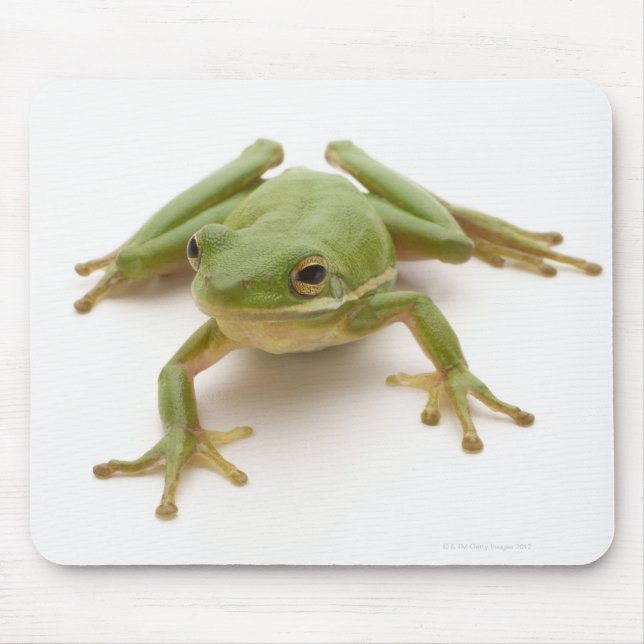 Grönt Träd Frog Musmatta (Framsidan)