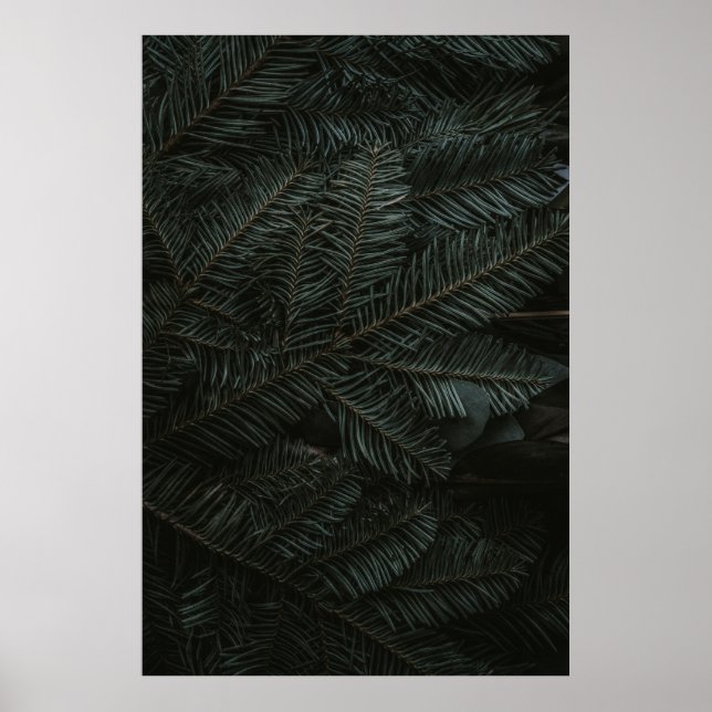 Grönt träd löv poster (Framsidan)