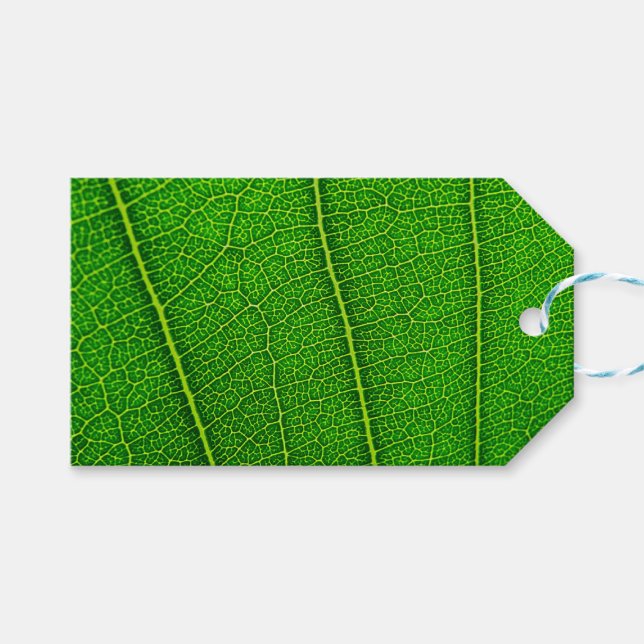 Grönt Träd Löv Presentetikett (Framsidan (Horisontell))